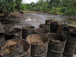 Latin American progressives and environmental duplicity | MOVUS  Movement for a Sustainable Uruguay | Scoop.it