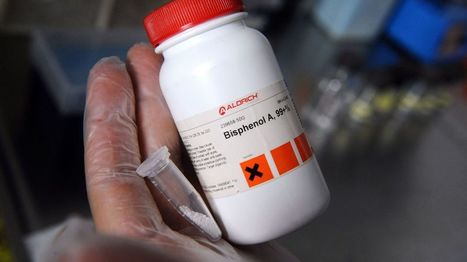 Perturbateurs endocriniens : le bisphénol A serait-il cancérogène même à petite dose ? | Toxique, soyons vigilant ! | Scoop.it