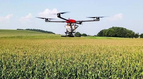 Le semis par drone prend son envol - Paysan breton | Pour innover en agriculture | Scoop.it