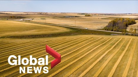 New report says Nitrous Oxide from farming accelerating Climate Change | Technology in Business Today | Scoop.it