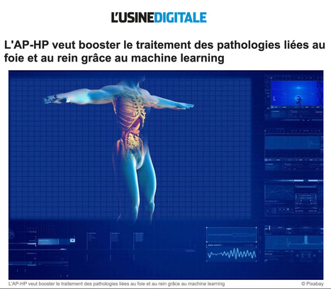 L'AP-HP veut booster le traitement des pathologies liées au foie et au rein grâce au machine learning avec la startup Owkin #esante #hcsmeufr #digitalhealth | KILUVU | Scoop.it