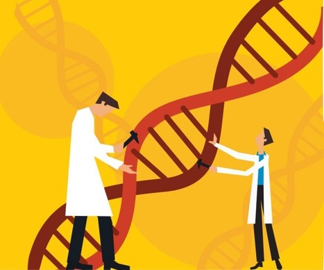 U.S. is reviewing first human use of CRISPR | Genetic Engineering in the Press by GEG | Scoop.it