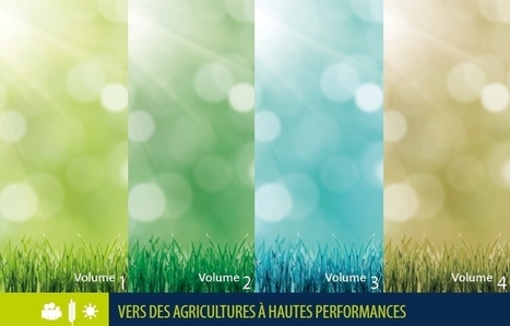 Vers des agricultures à hautes performances | Graines de doc | Scoop.it