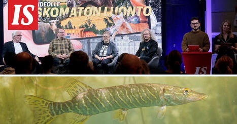 Sain sen videolle: Uskomaton luonto - kysy luonnosta asiantuntijoilta | 1Uutiset - Lukemisen tähden | Scoop.it