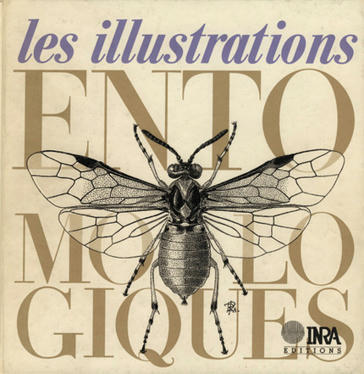 Rémi Coutin, Alain Fraval, Jacques D'Aguilar, Robert Guilbot, Claire Villemant : Les illustrations entomologiques | Insect Archive | Scoop.it
