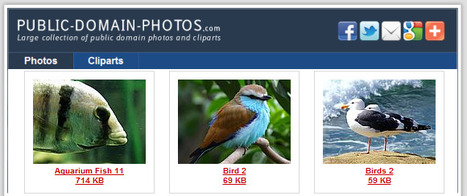 6 Free Websites For Public Domain Images & Free Stock Photos | Aplicaciones y Herramientas . Software de Diseño | Scoop.it