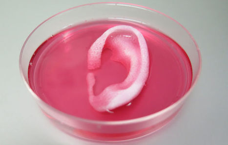 3D Bioprinting Just Took A Major Step Forward | 21st Century Innovative Technologies and Developments as also discoveries, curiosity ( insolite)... | Scoop.it