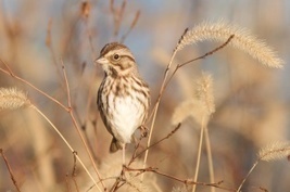 Co-Chairs Announced for Landmark Global Biodiversity & Ecosystems Assessment: First Since 2005 - UNEP | Biodiversité | Scoop.it