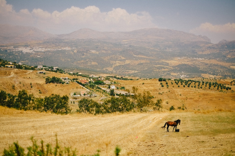 Landscapes of Andalusia | Jonas Dyhr Rask | Fujifilm X Series APS C sensor camera | Scoop.it