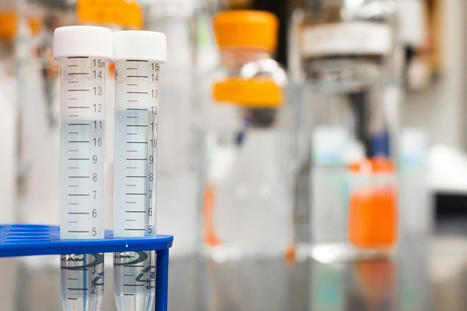 A Closer Look at Drug Testing: Types Of Drug Testing - SmarTest Labs | Smartest Lab | Scoop.it