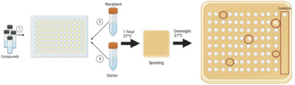 A novel high-throughput screening method for id...