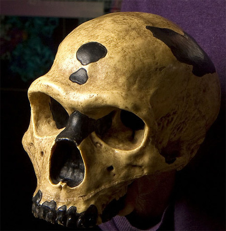 Pour la Science -  Actualité - Néandertal est en nous | Aux origines | Scoop.it