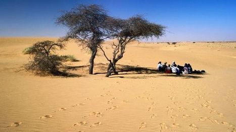 Solidaire, écologique, responsable : le tourisme autrement. | Ecotourisme | Scoop.it