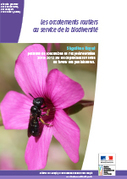 Les accotements routiers au service de la biodiversité | Paysage - Agriculture | Scoop.it