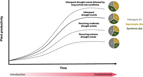 Trade-offs in microbial-assisted restoration under recurring drought | Tin | RMH | Scoop.it