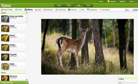 Ribbet: potente editor de imágenes online y gratuito | TIC & Educación | Scoop.it