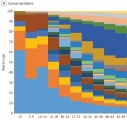 CANCER : 15 millions de nouveaux cas chaque année – Jama Oncology | Public Health - Santé Publique | Scoop.it