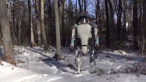 Remarkable Boston Dynamics robot puts up with bullying - BBC News | Design, Science and Technology | Scoop.it