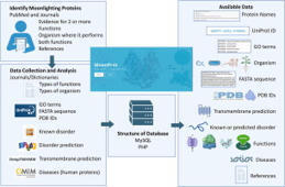 MoonProt 4.0: 2026 Update of the Moonlighting Proteins Database | jmb | RMH | Scoop.it