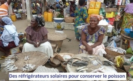 Des réfrigérateurs solaires pour le Bénin (vendeuses de poissons) | Actions Panafricaines | Scoop.it