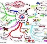 Définition de carte mentale - Concept et Sens | Cartes mentales | Scoop.it