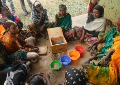 Video/Gallery: Women in Ethiopia working to reduce food insecurity by ... - Ipswich Star | Gender & Protection in East Africa | Scoop.it