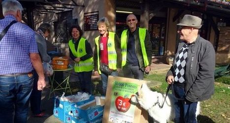 Opération 30 000 pommes pour un chien guide d'aveugle | Lacroix-Falgarde | Scoop.it