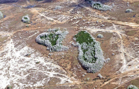 R&eacute;chauffement climatique&nbsp;: La Terre a accumul&eacute; une chaleur record en&nbsp;2025, selon l&rsquo;ONU | Plan&egrave;te DDurable | Scoop.it
