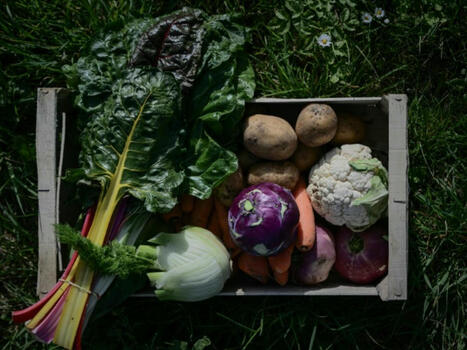 Les agriculteurs bio dénoncent un "hold-up" sur leurs aides | Attitude BIO | Scoop.it