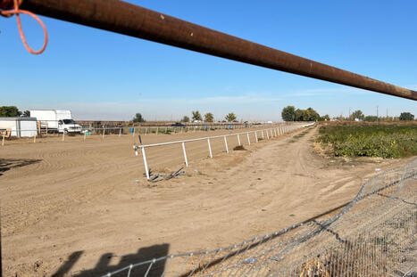 U.S. citizens and legal residents sue over aggressive immigration raid at Idaho horse racing track - counton2.com | Backstabber Watch | Scoop.it