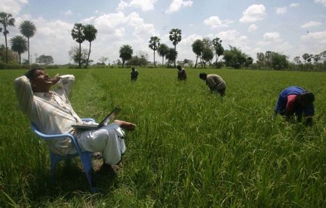For Poor Nations, Productivity Begins on the Farm | ASIES | Scoop.it