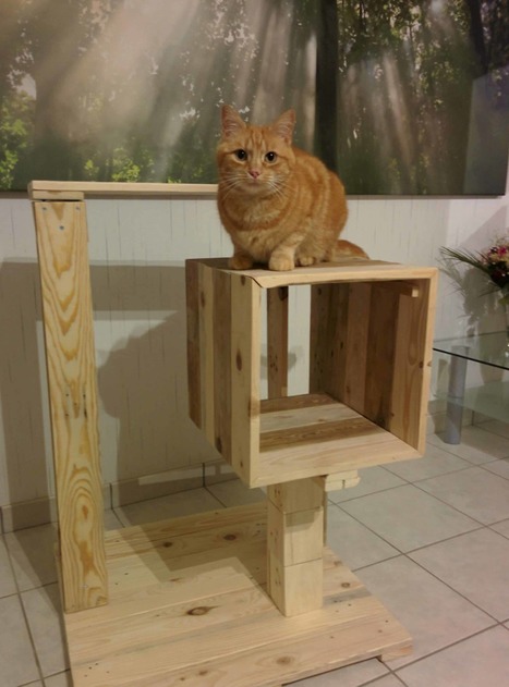 Animal Pallet Cat Tree Recycling Wood Pallets In Sustainability Permaculture Hygiene Infrastructure Solar Wind Tech Water Harvesting Survival Scoop It