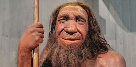 Connaître l’émergence de Neandertal pour comprendre sa disparition | Archaeo | Scoop.it