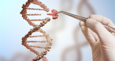 New DNA recombination toolbox surpasses CRISPR for genome engineering | Genetic Engineering in the Press by GEG | Scoop.it