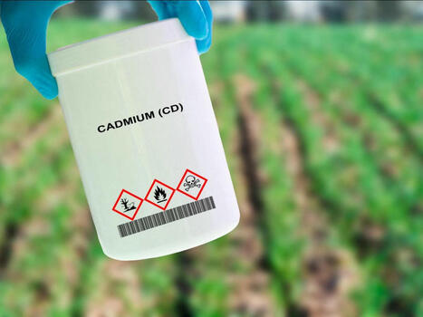 Cadmium : entretien avec le Dr Pierre Souvet, un des lanceurs de l'alerte | Planète DDurable | Scoop.it
