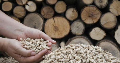 Environnement. Le bois énergie a conquis 28 % des ménages de Bourgogne Franche-Comté | Energies renouvelables | Scoop.it
