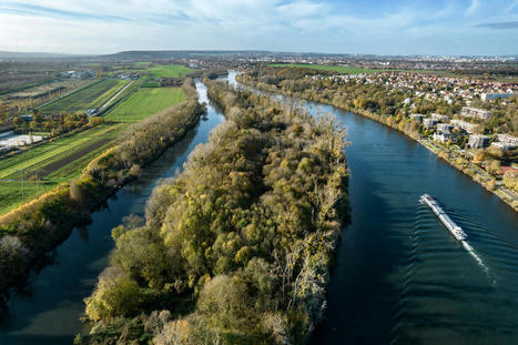 Cette île dans le Val-d'Oise qui divise les écolos | Environnement, paysage et biodiversité | Scoop.it