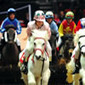 Olympia, The London International Horse Show, Dec. 13-19, 2011. | Salon du Cheval | Scoop.it