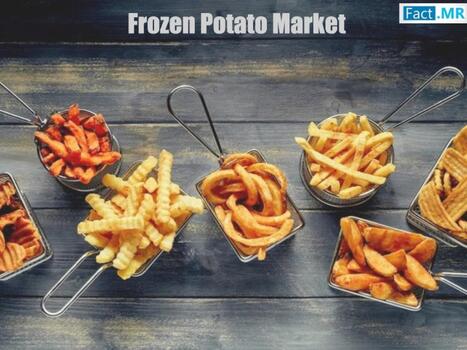 Frozen Potato Market is Expected to Progress at a CAGR of 5.6% to Reach US$ 112.7 Billion by 2035 - Waste Management & Recycling News Today - EIN Presswire | Industry 411 - Waste Management | Scoop.it