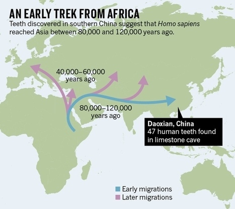 Teeth from China reveal early human trek out of Africa : Nature News & Comment | History 2[+or less 3].0 | Scoop.it