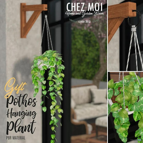 Pathos Hanging Plant May 2026 Gift by Chez Moi Furniture | Teleport Hub - Second Life Freebies | Second Life Freebies | Scoop.it