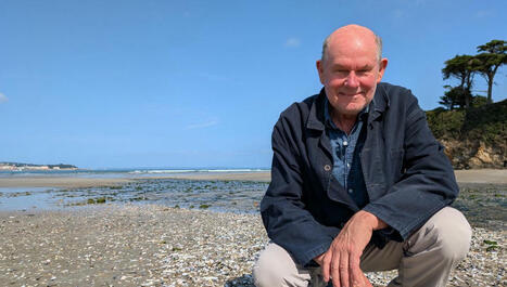 "On m'a dit de ne pas m'y baigner" : les algues vertes s'échouent sur cette plage de Bretagne - ici | Paysage - Agriculture | Scoop.it