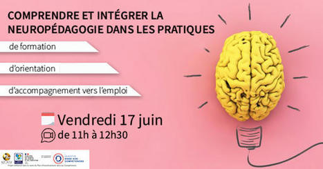 17/06/22 - WebConférence - Comprendre et intégrer la neuropédagogie dans les pratiques de formation, d'orientation et d'accompagnement vers l'emploi - Gip Alfa Centre-Val de Loire | Formation : Innovations et EdTech | Scoop.it