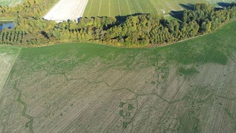 Marne&nbsp;: &ldquo;l'impact environnemental de la Grande Guerre, c'est un probl&egrave;me d'actualit&eacute;&rdquo; | Le fil d'actualit&eacute;s de l'URCA | Scoop.it