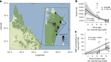 Microbial physiology conserves phosphorus across long-term ecosystem development | Ngeo | RMH | Scoop.it