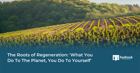 FOOD SYSTEMS : The Roots of Regeneration: 'What You Do To The Planet, You Do To Yourself'  | CIHEAM Press Review | Scoop.it