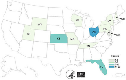 Multistate Outbreak of Multidrug-Resistant Campylobacter Infections Linked to Contact with Pet Store Puppies | Medical Disasters: EM 351, EM 421,  EM 570 | Scoop.it