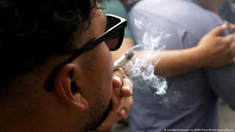 Os riscos do consumo de maconha para adolescentes | Inova&ccedil;&atilde;o Educacional | Scoop.it
