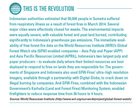 This is the Revolution | Global Governance, Legal and Constitutional Affairs | Scoop.it