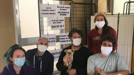 Aude : "L'Abat'mobile", un projet pour permettre "une mort digne" des petits ruminants | La Gazette des abattoirs | Scoop.it
